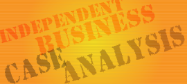Independent Business Case Analysis